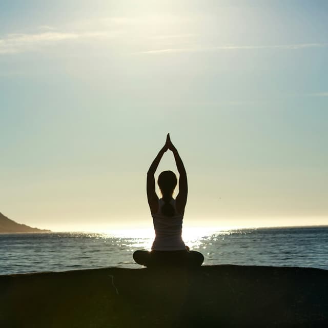 The Healer Package of 4 Sessions at Embody Wellness in Osseo, MN